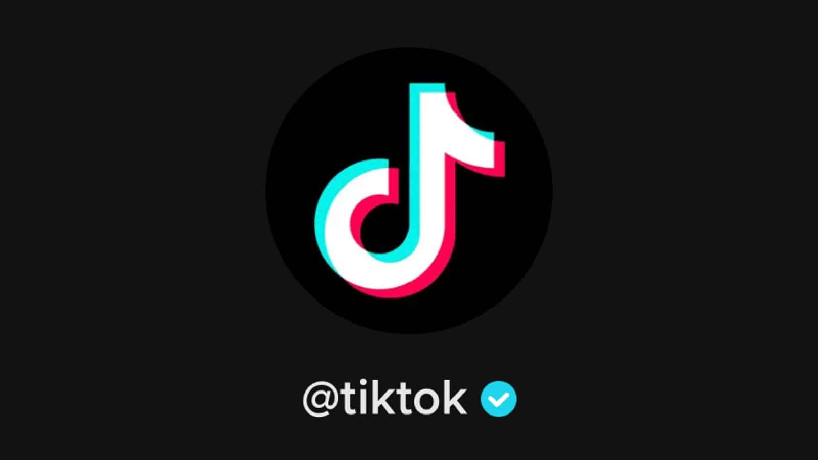 Cosa significa il segno di spunta blu su TikTok 15