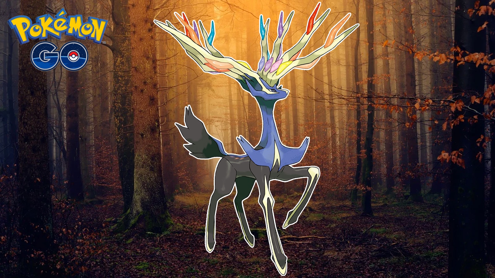 I giocatori di Pokemon Go sono rimasti confusi dopo aver 55