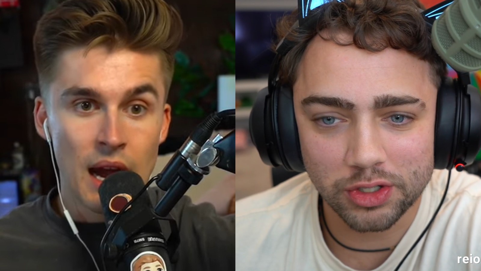Ludwig afferma che Mizkif non sara mai cancellato ma lo 35