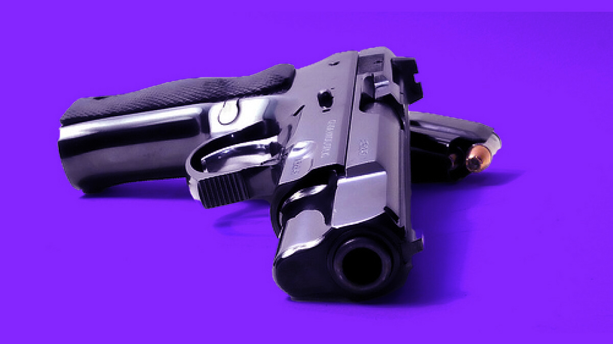Secondo quanto riferito linvasore domestico e stato colpito dallo streamer 65