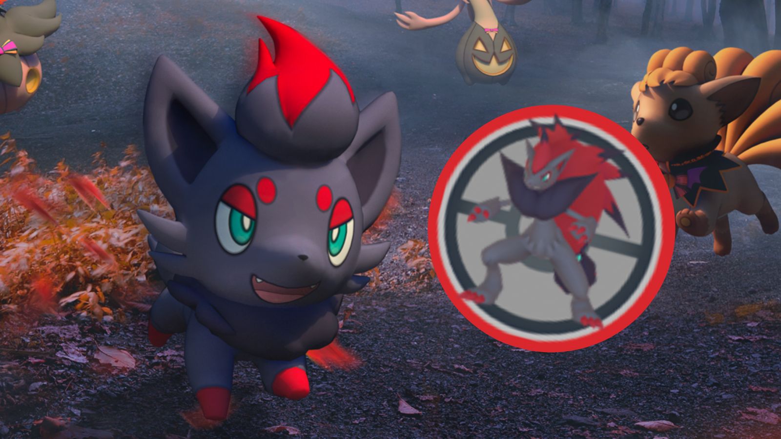 zorua 81