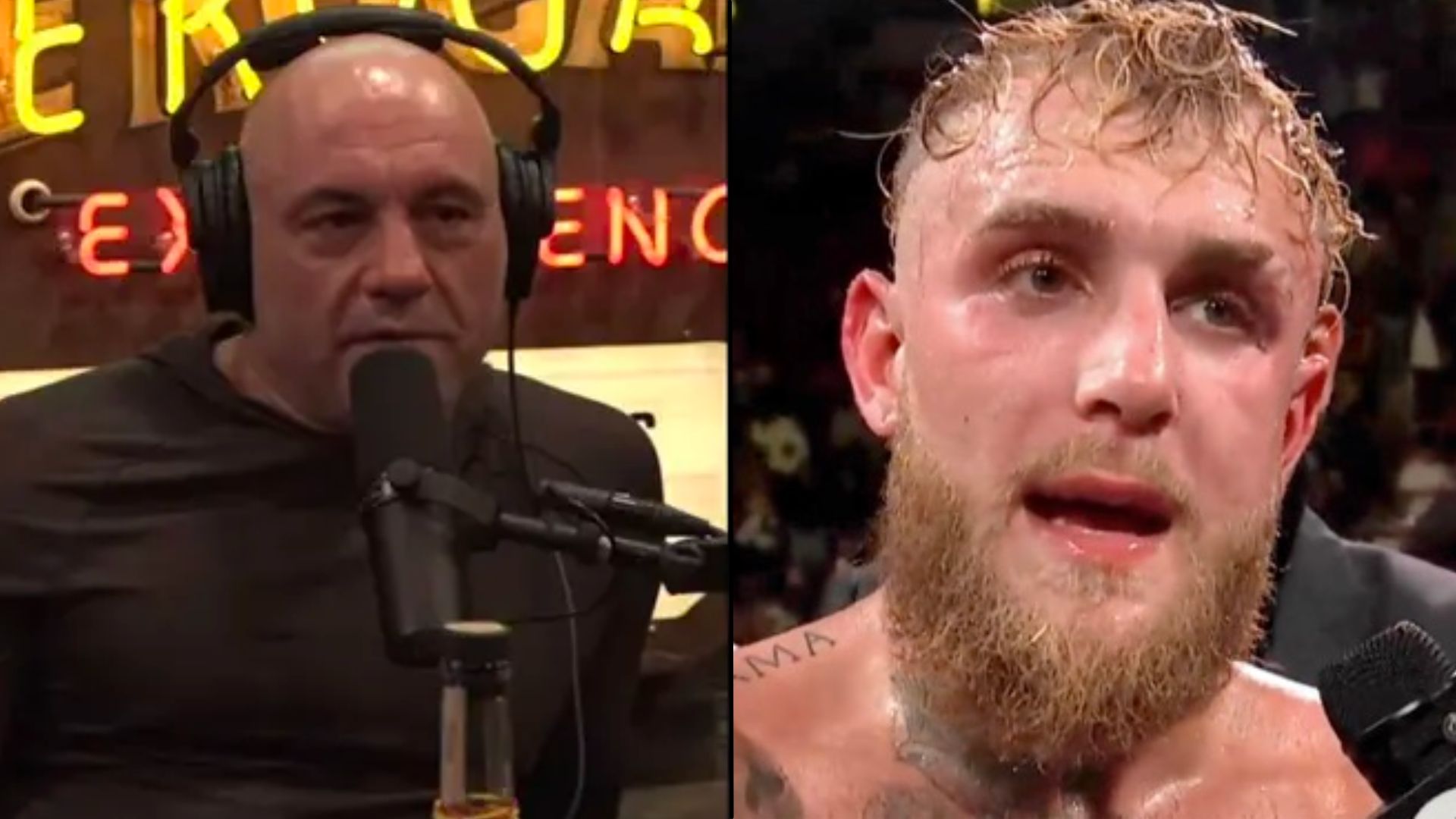 Joe Rogan critica le affermazioni secondo cui lo era Jake 29