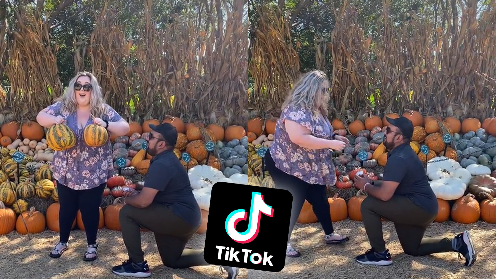 TikToker diventa virale con quottette di zuccaquot video proposta di 3