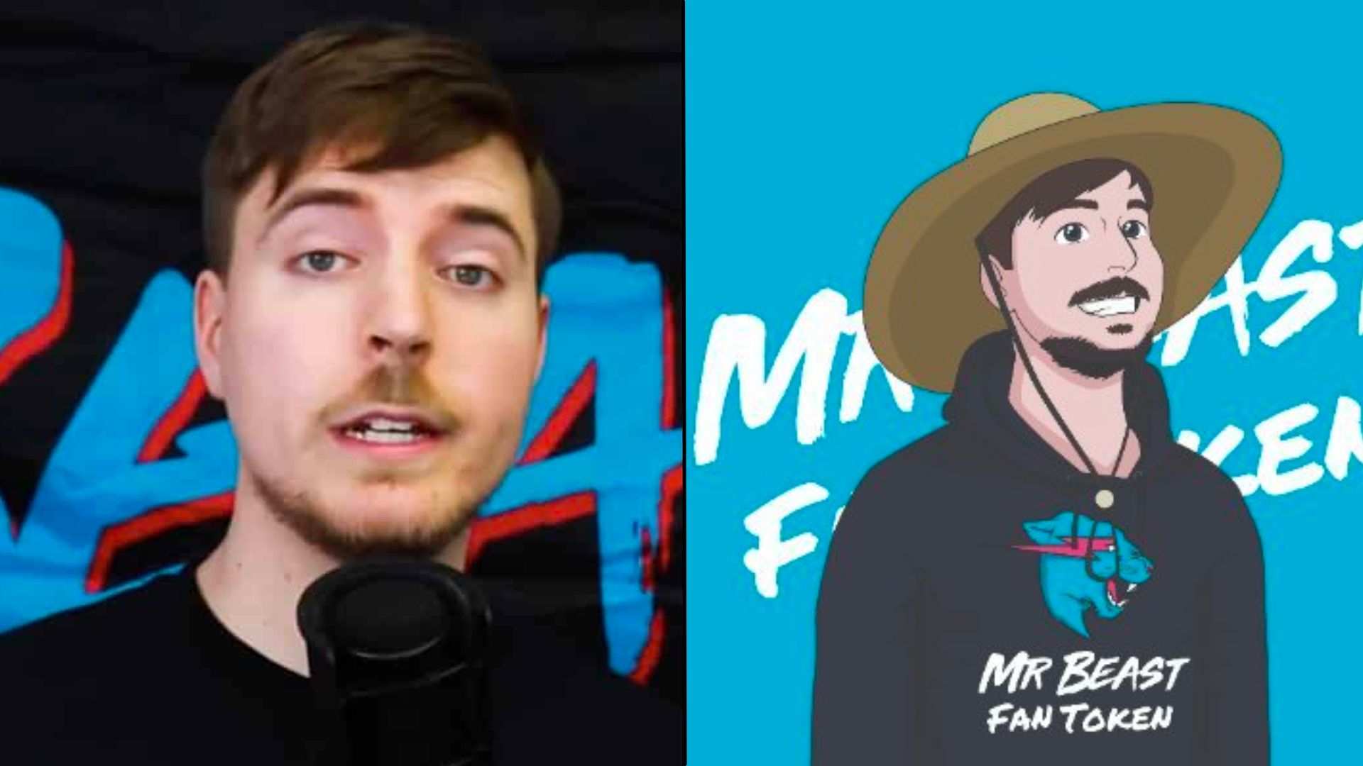 MrBeast team responds to 22fake22 MrBeast Tokens scamming fans 13