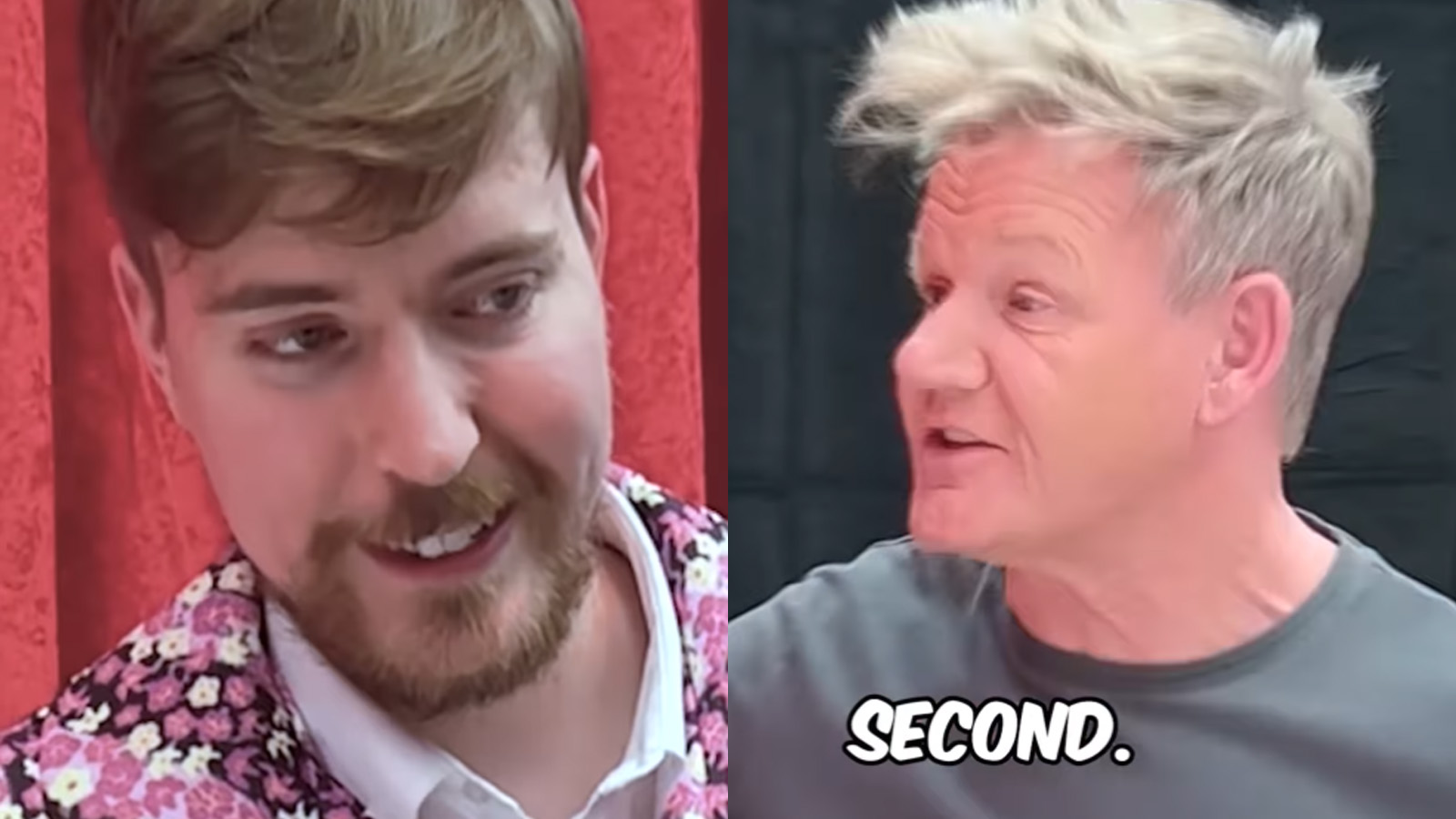 MrBeastGordonRamsay 7