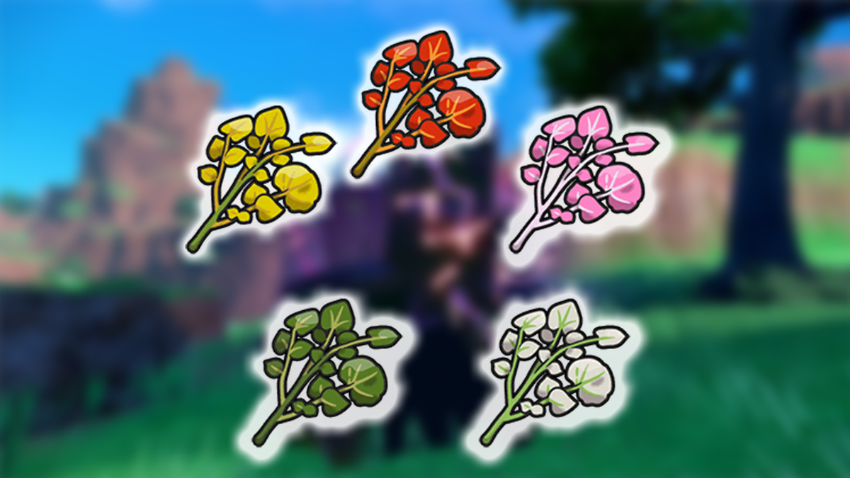 Come coltivare Herba Mystica in Pokemon Scarlet Violet quali 7