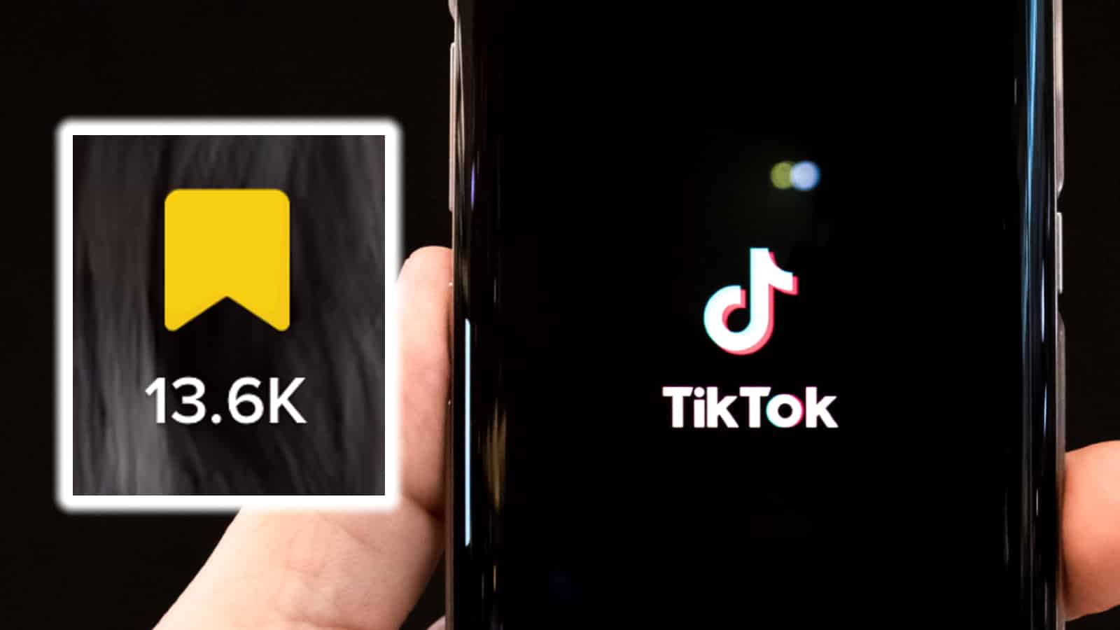 TikTokFavorites 73