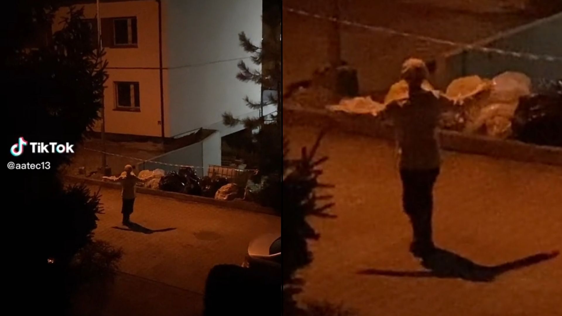What is the Serbian dancing lady on TikTok Viral video has users petrified 65