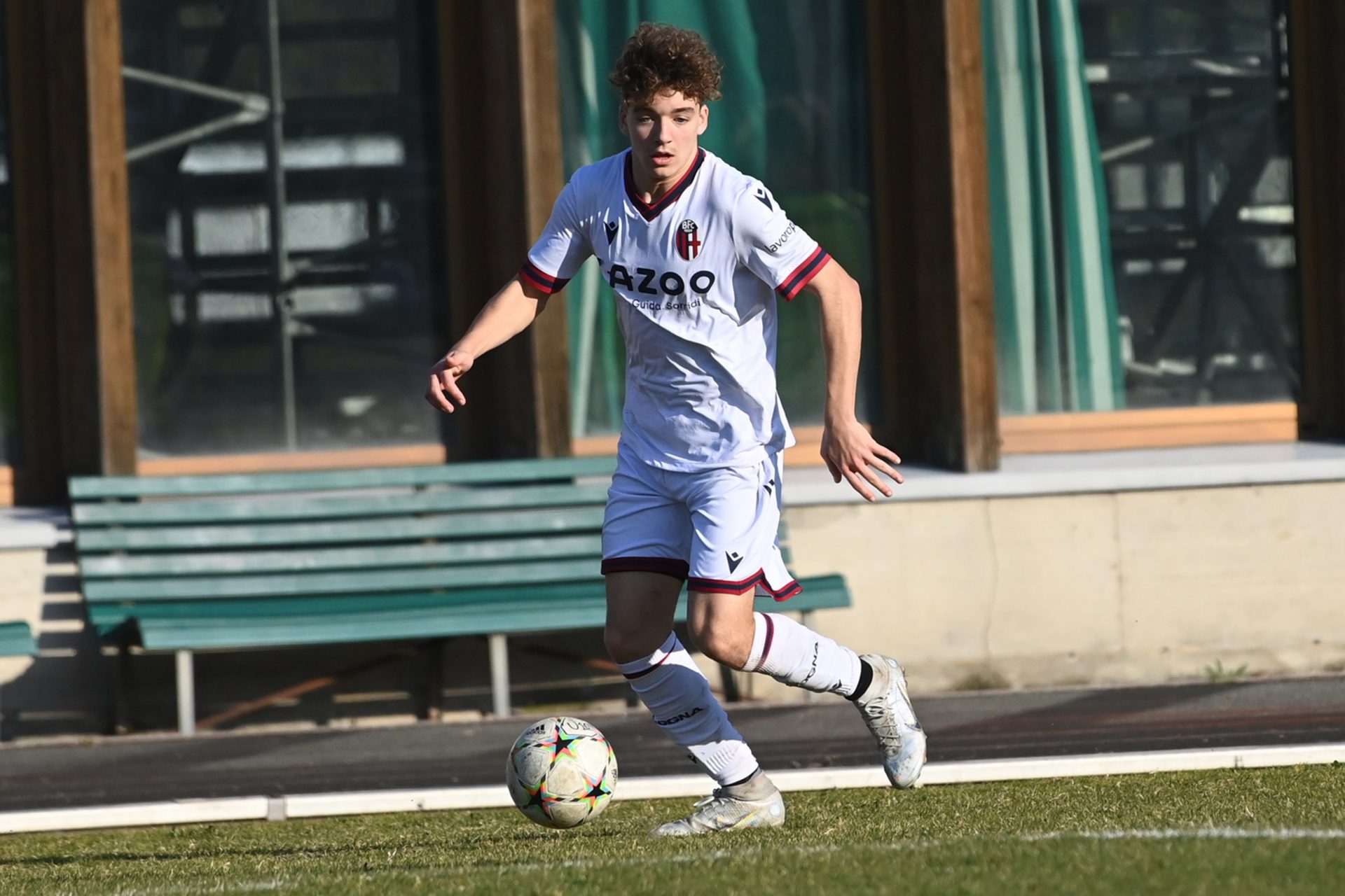 Negri 49