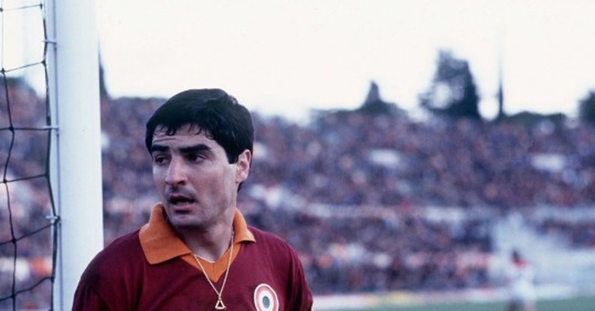 dibartolomei 75