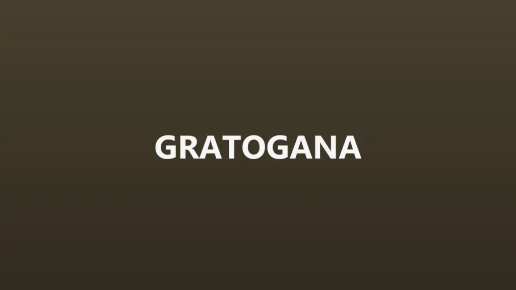 gratogana recensione 1280x720 1 1