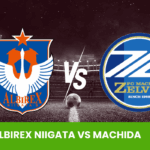 Albirex Niigata vs Machida Zelvia