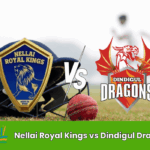 Nellai Royal Kings vs Dindigul Dragons