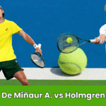 De Miñaur vs Holmgren