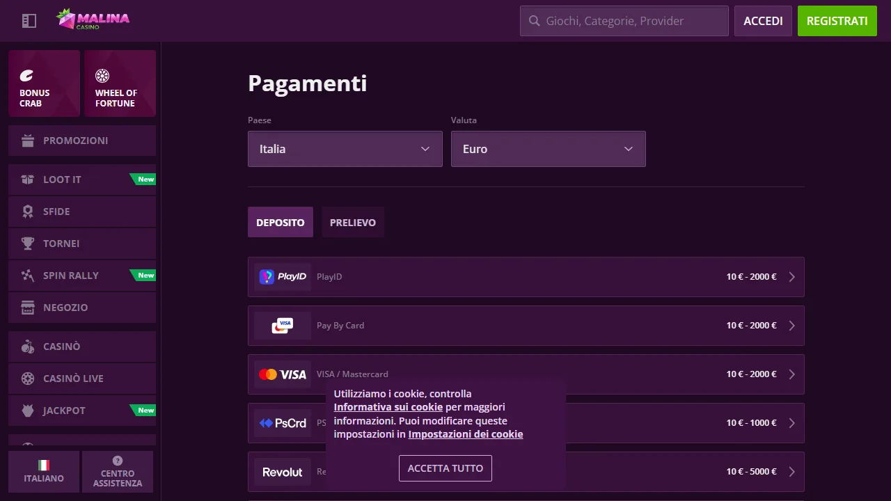 I metodi di pagamento di malina-casino