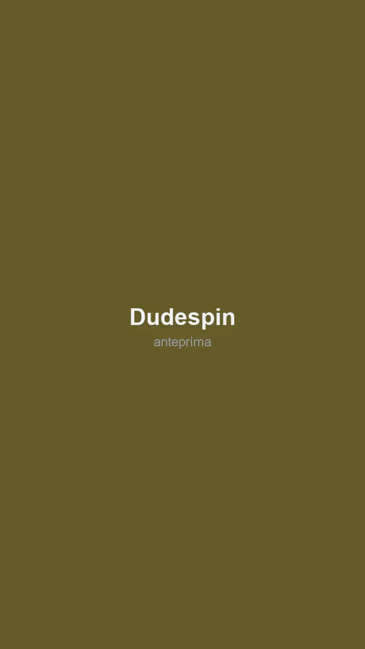 Schermata di DudeSpin