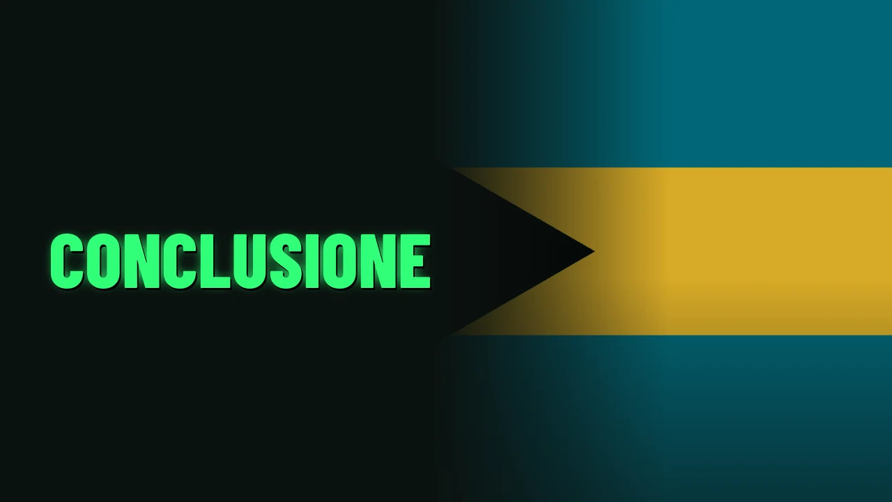 Conclusione
