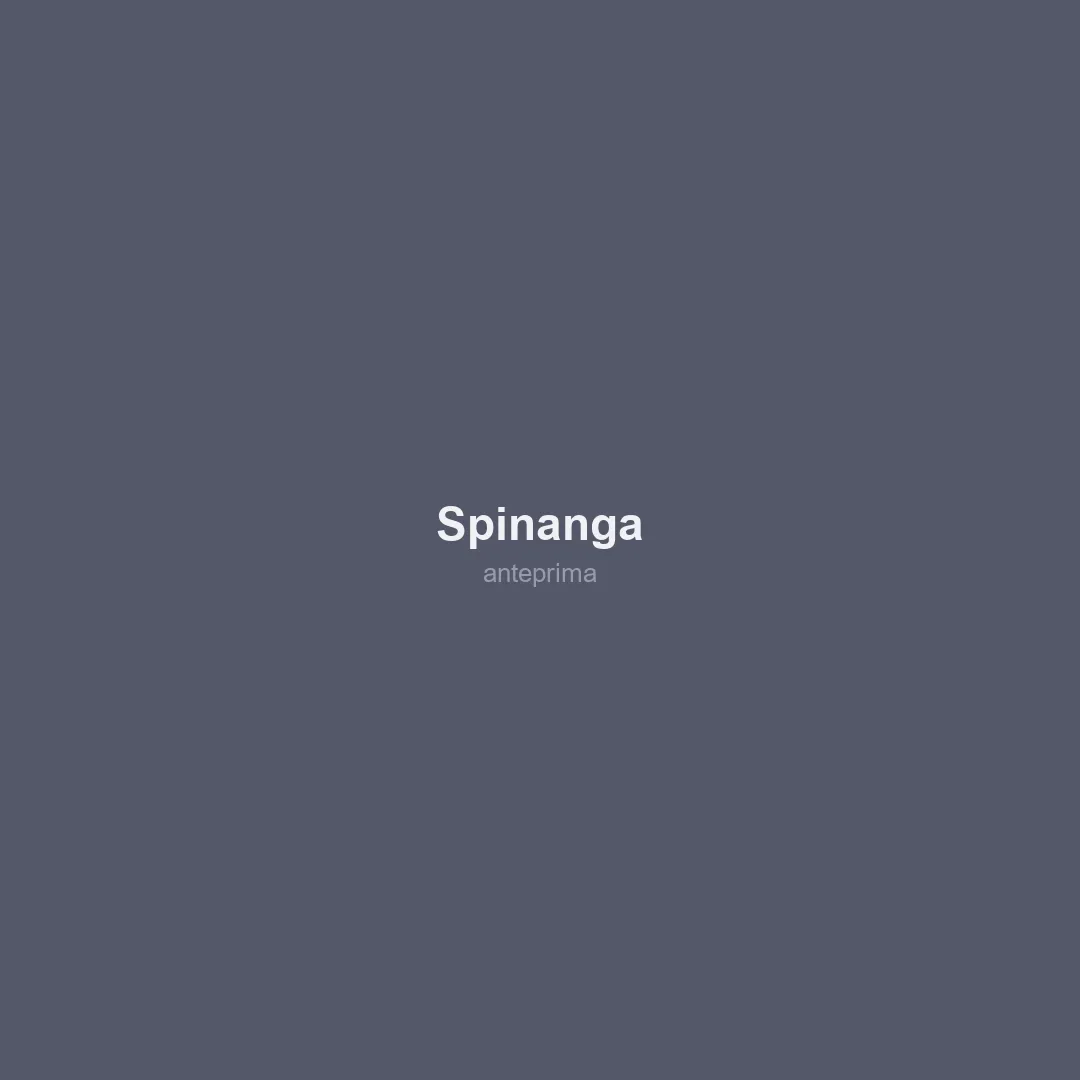 Schermata 3 di Spinanga