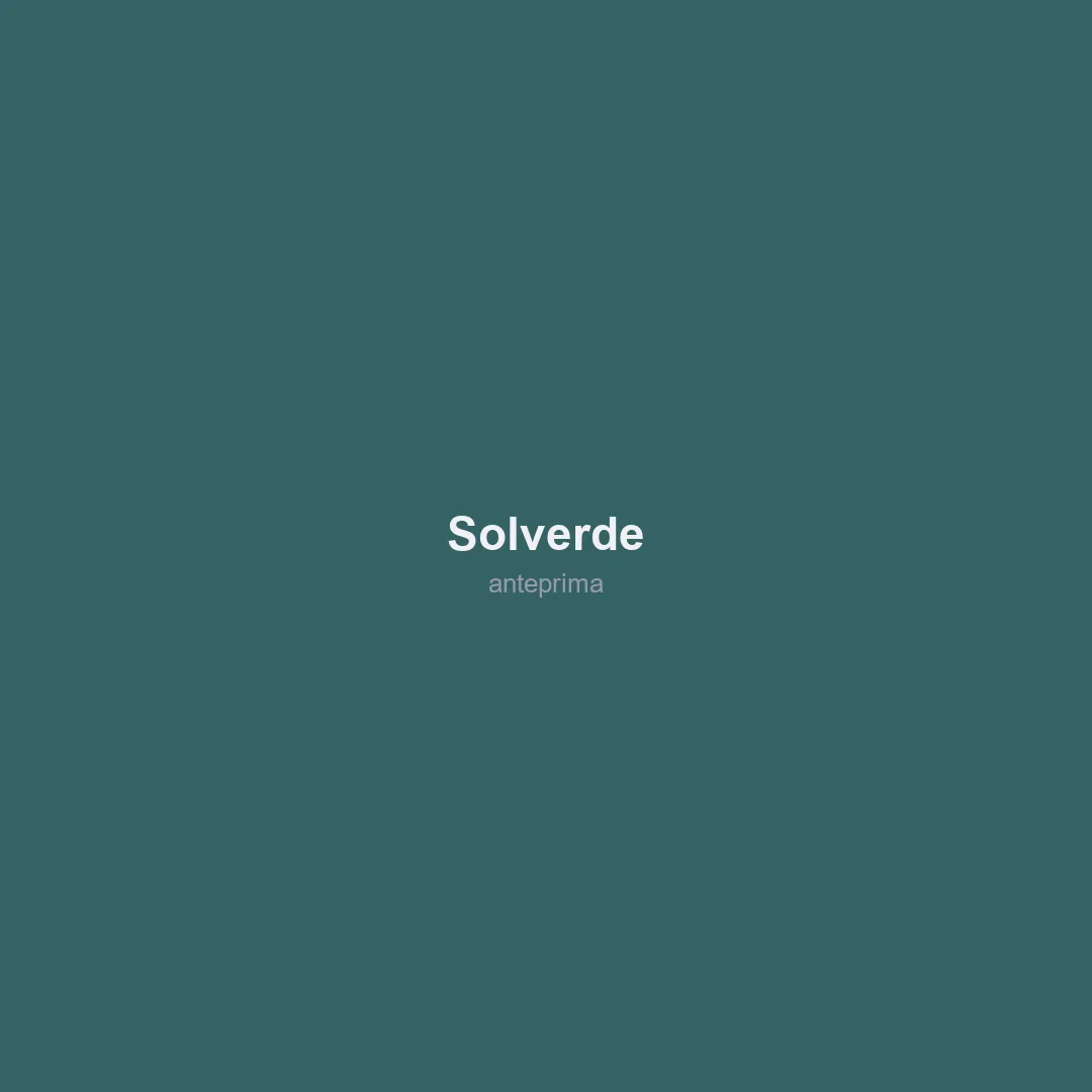 Schermata 2 di Solverde