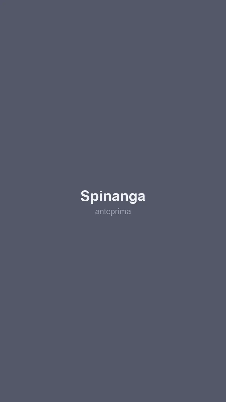 Schermata 3 di Spinanga