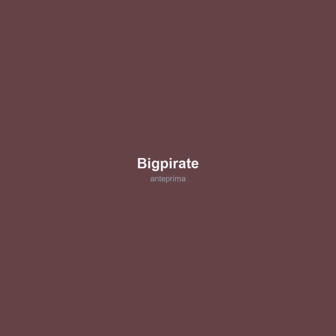 Schermata 2 di BigPirate