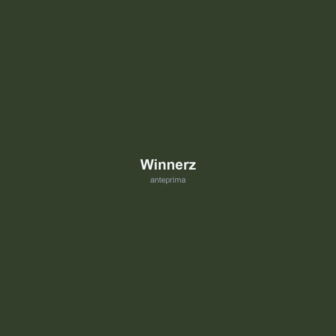 Schermata 3 di Winnerz