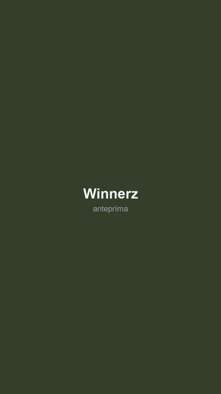 Schermata di Winnerz