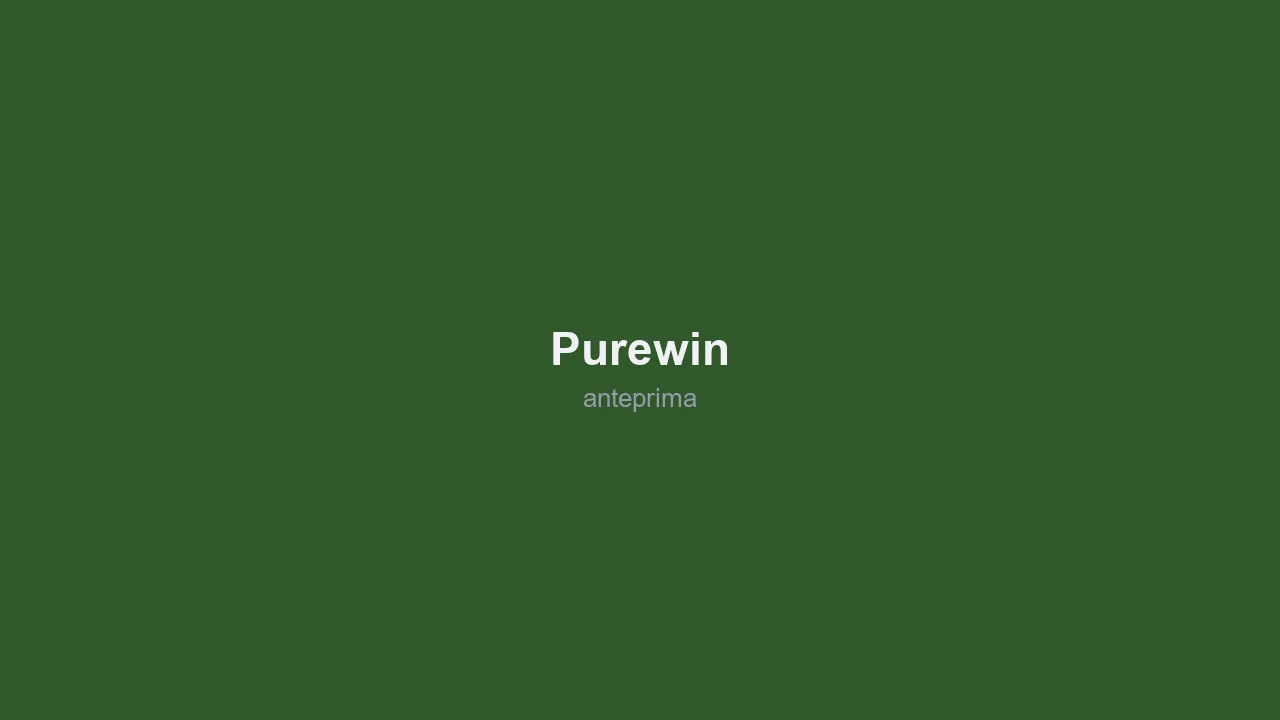 Schermata 2 di PureWin