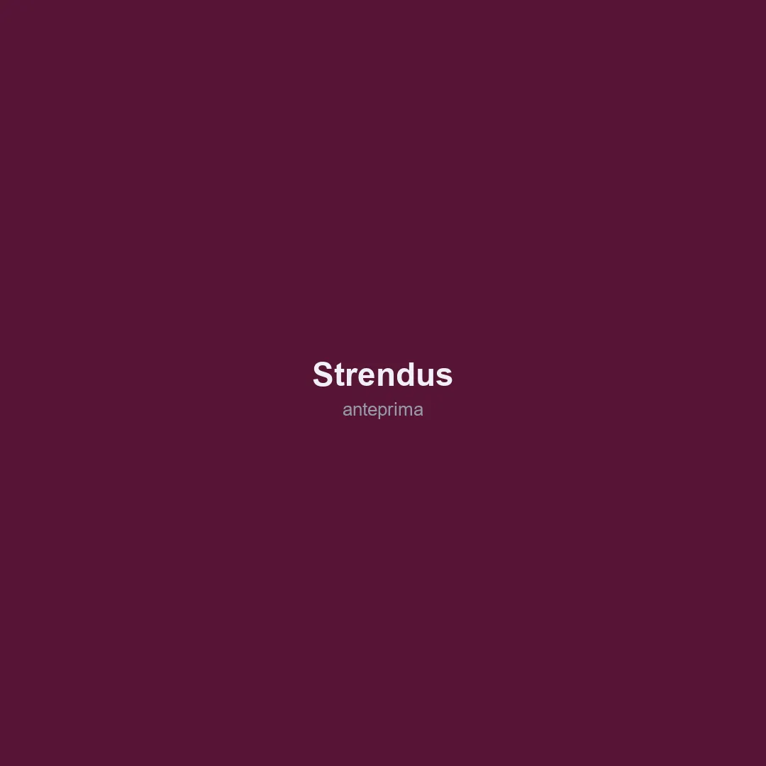 Schermata di Strendus