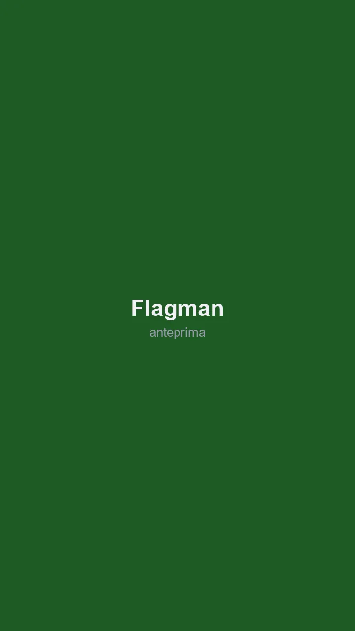Schermata 2 di Flagman