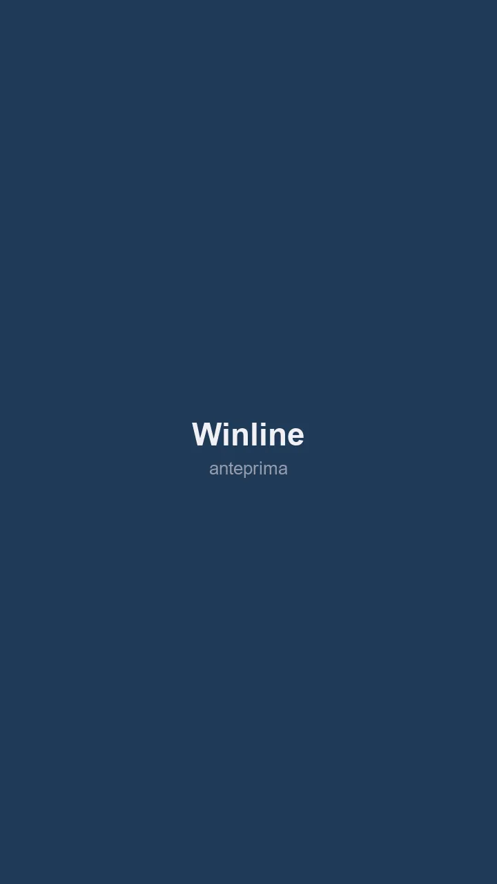 Schermata 2 di Winline