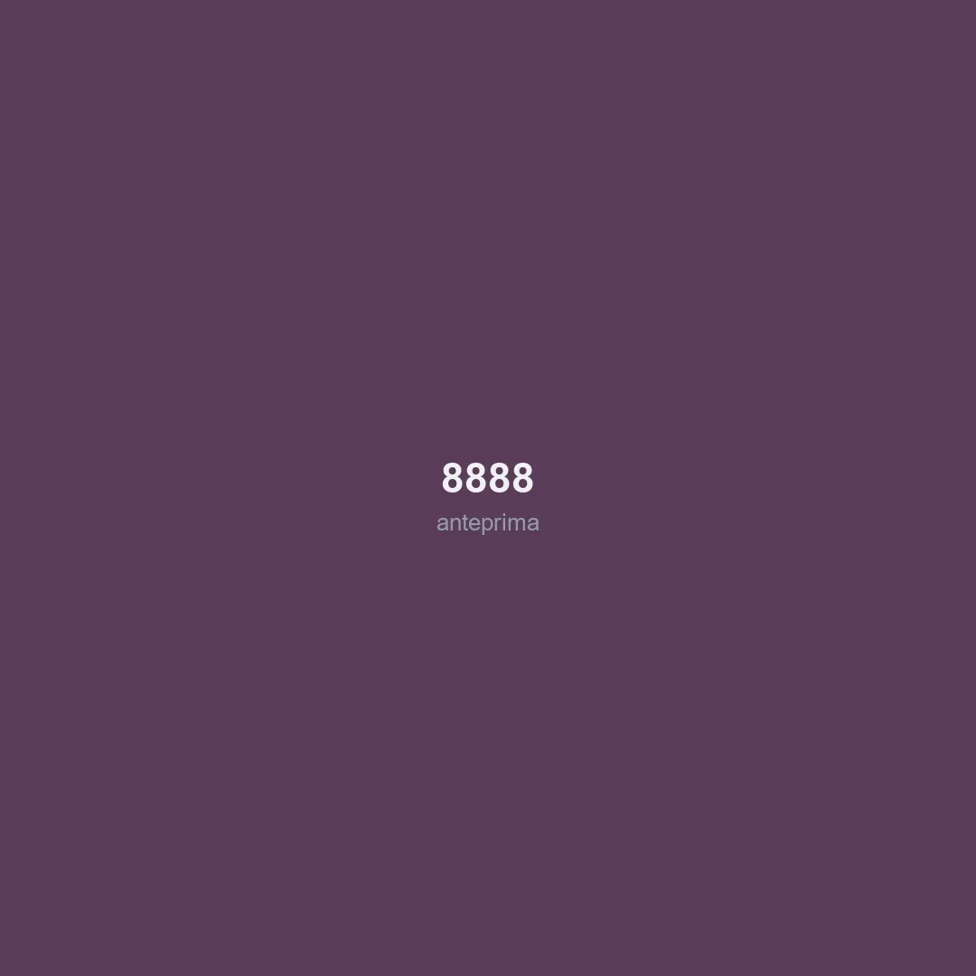 Schermata di 8888