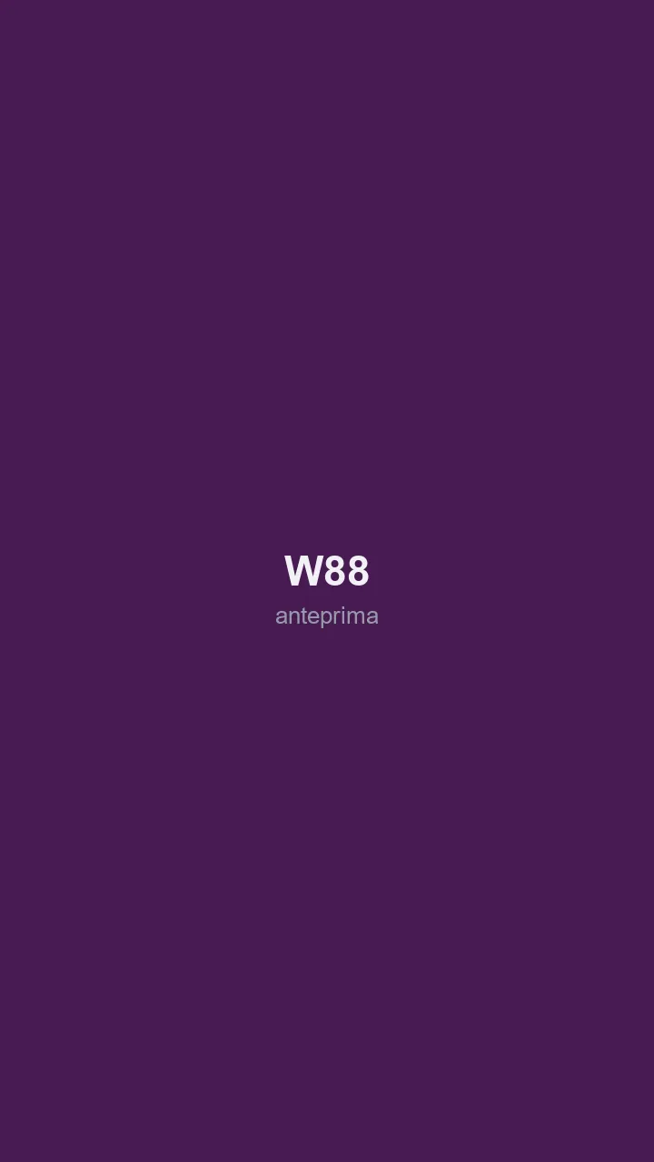 Schermata 1 di W88