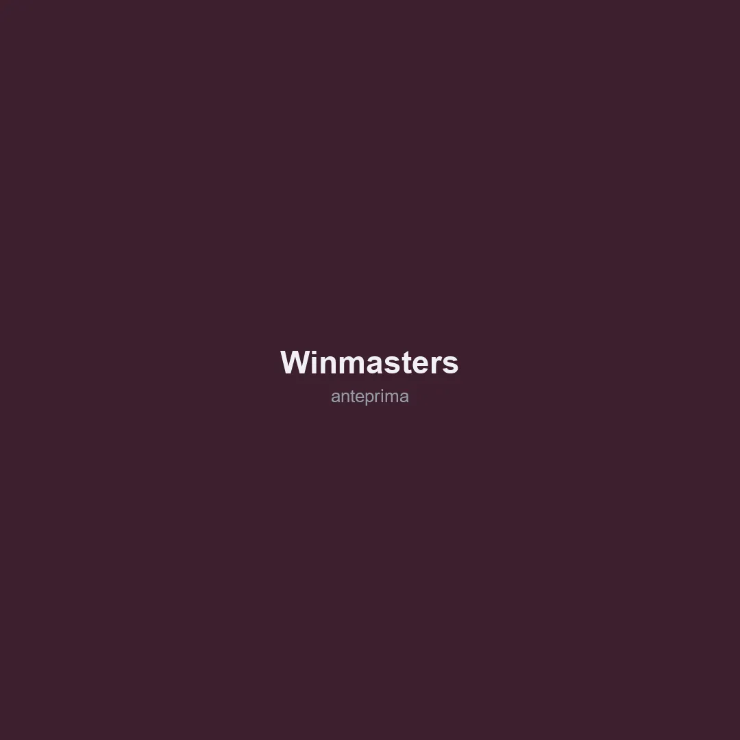 Schermata 3 di Winmasters