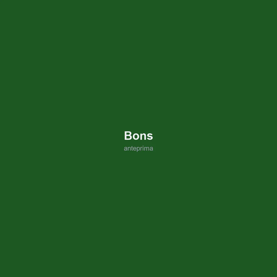 Schermata 3 di Bons (ボンズ)