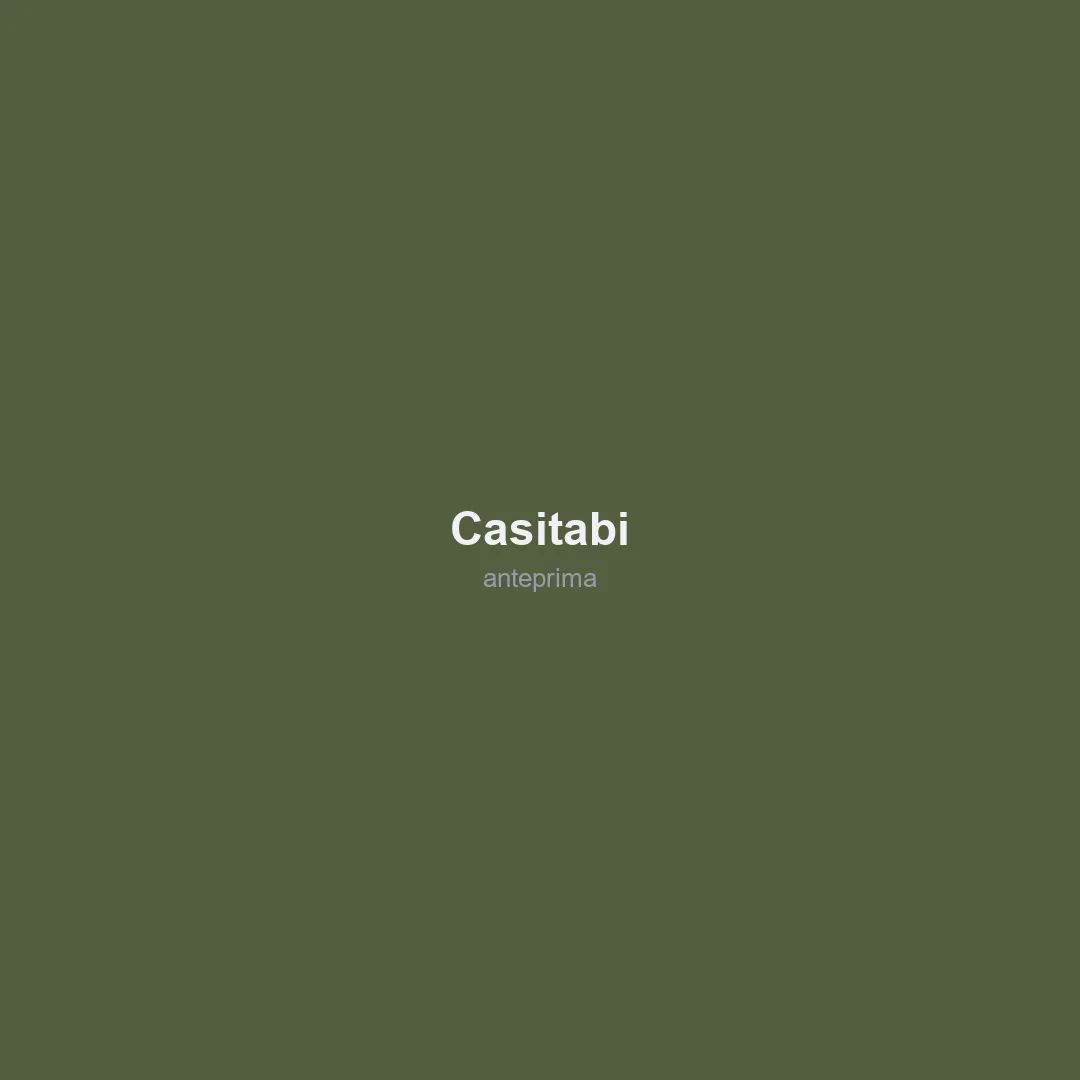 Schermata 1 di Casitabi (カジ旅)